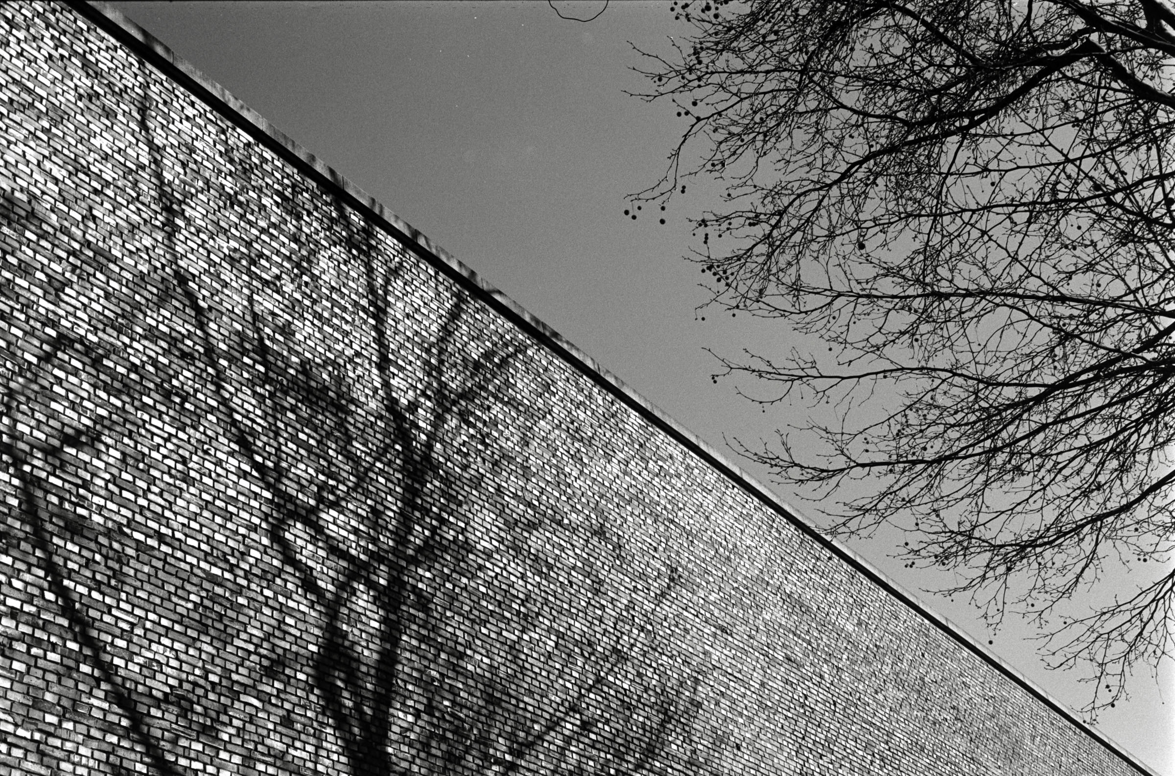 AHP F1993 03 006 sc240902 img10 NLP